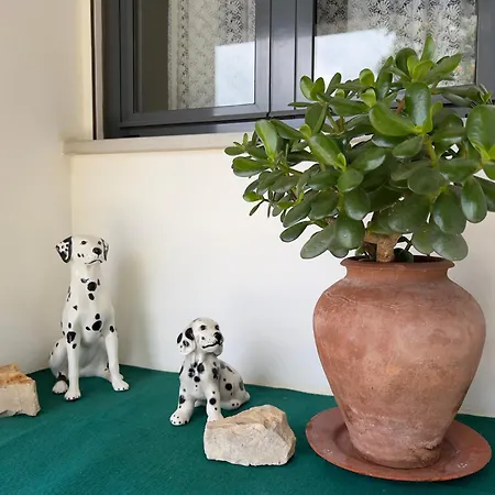 Daire Casa Jasmin Lagos